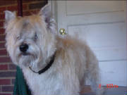 cairn4before.jpg